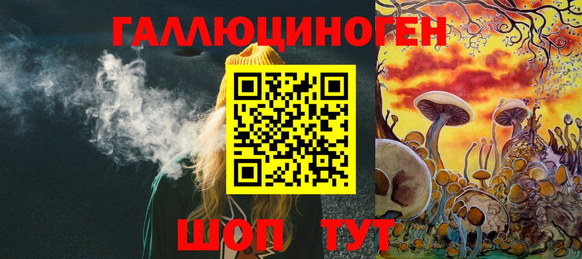 Псилоцибиновые грибы Psilocybine cubensis  Вход с VPN  Кинель 